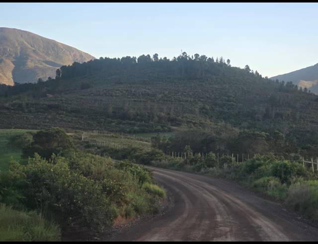 539HA FARM FOR SALE IN RIVERSDALE RURAL